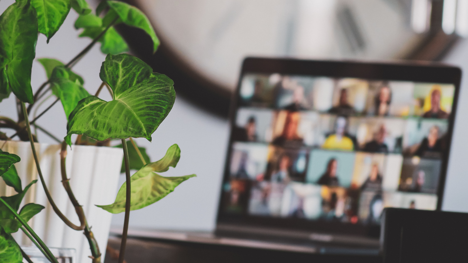 A closeup of a laptop screen with a team video call meeting occurring. The laptop screen is out of focus, but it is full with many team members in attendance. In the forefront, there is a house plant.