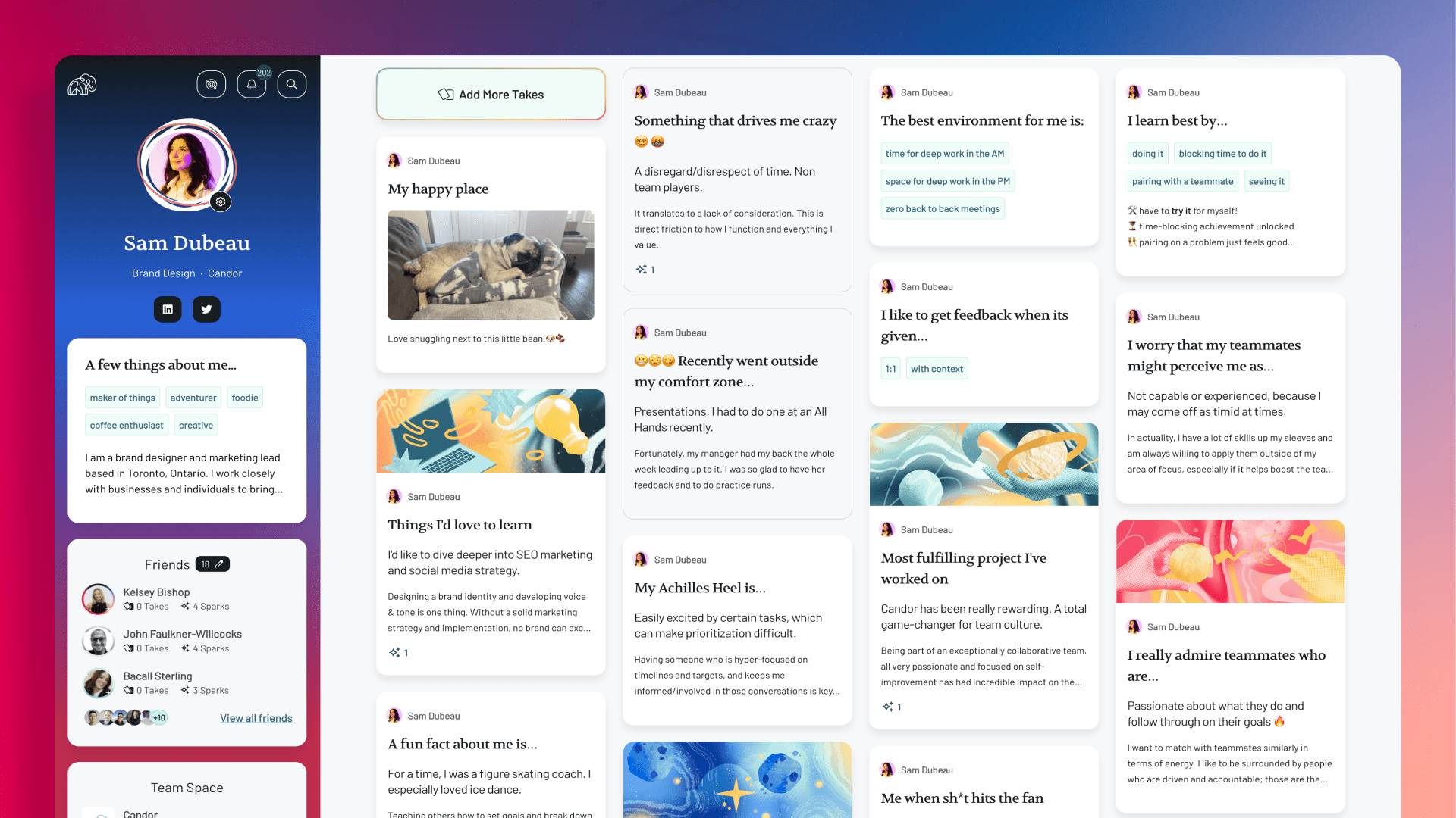 A Candor profile or user manual